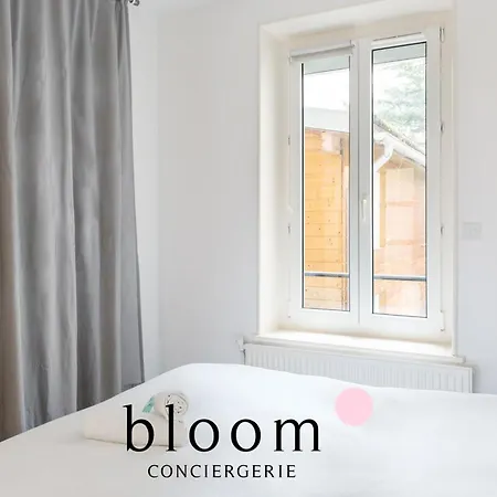 Apartment Calme 45m2 2 A 4p Rdc Nancy